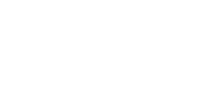 VIG logo white
